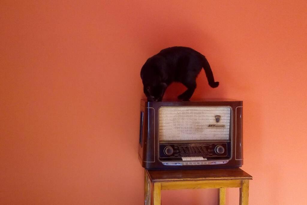 MilhãoCasa Da Oliveiraアパートメント エクステリア 写真