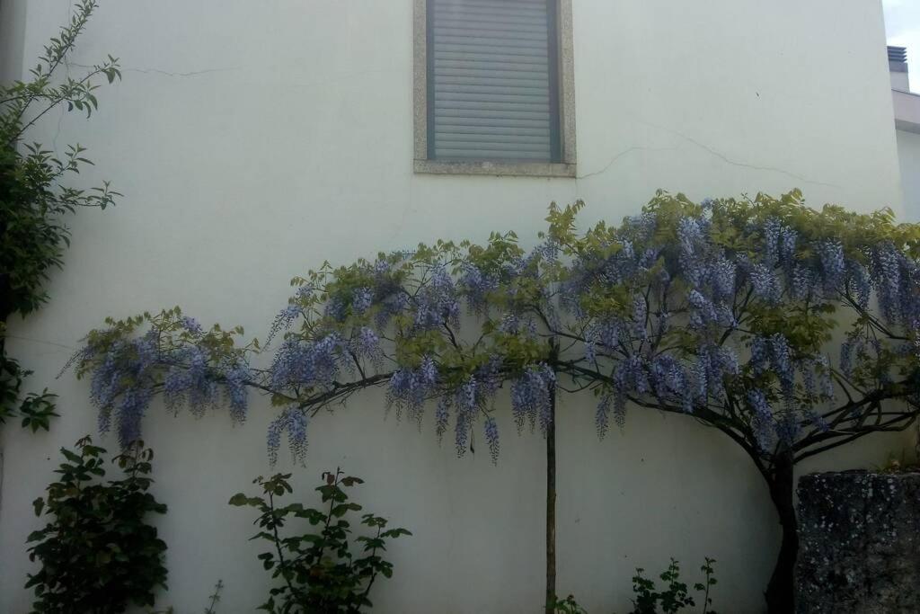 MilhãoCasa Da Oliveiraアパートメント エクステリア 写真
